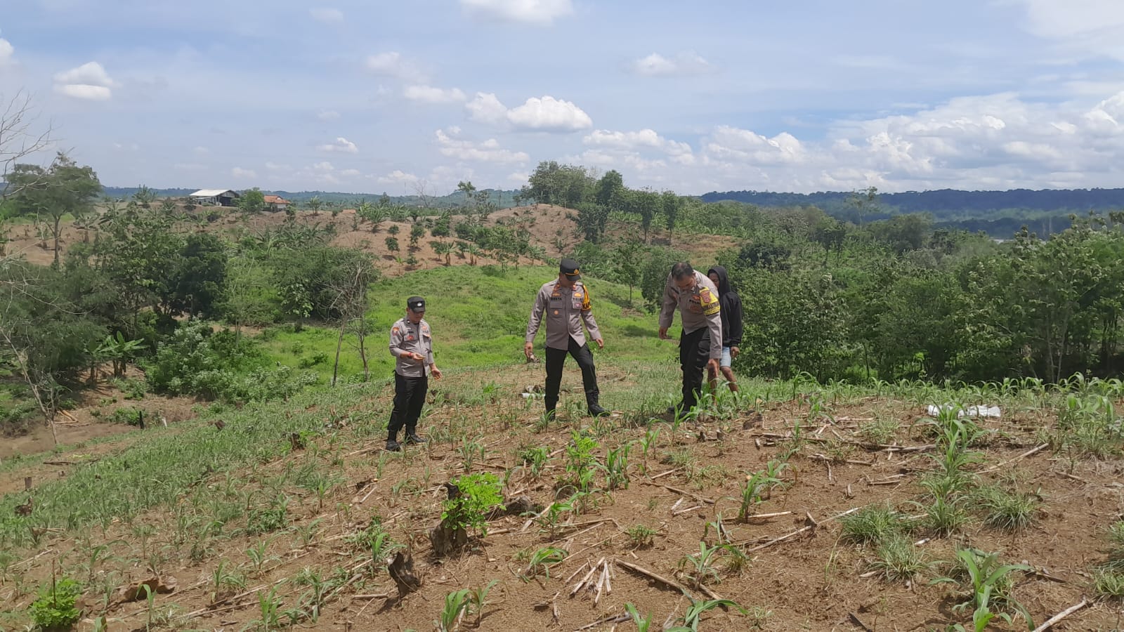 Polsek Jajaran Polres Subang Tinjau Lahan Ketahanan Pangan Dukung Program Polri