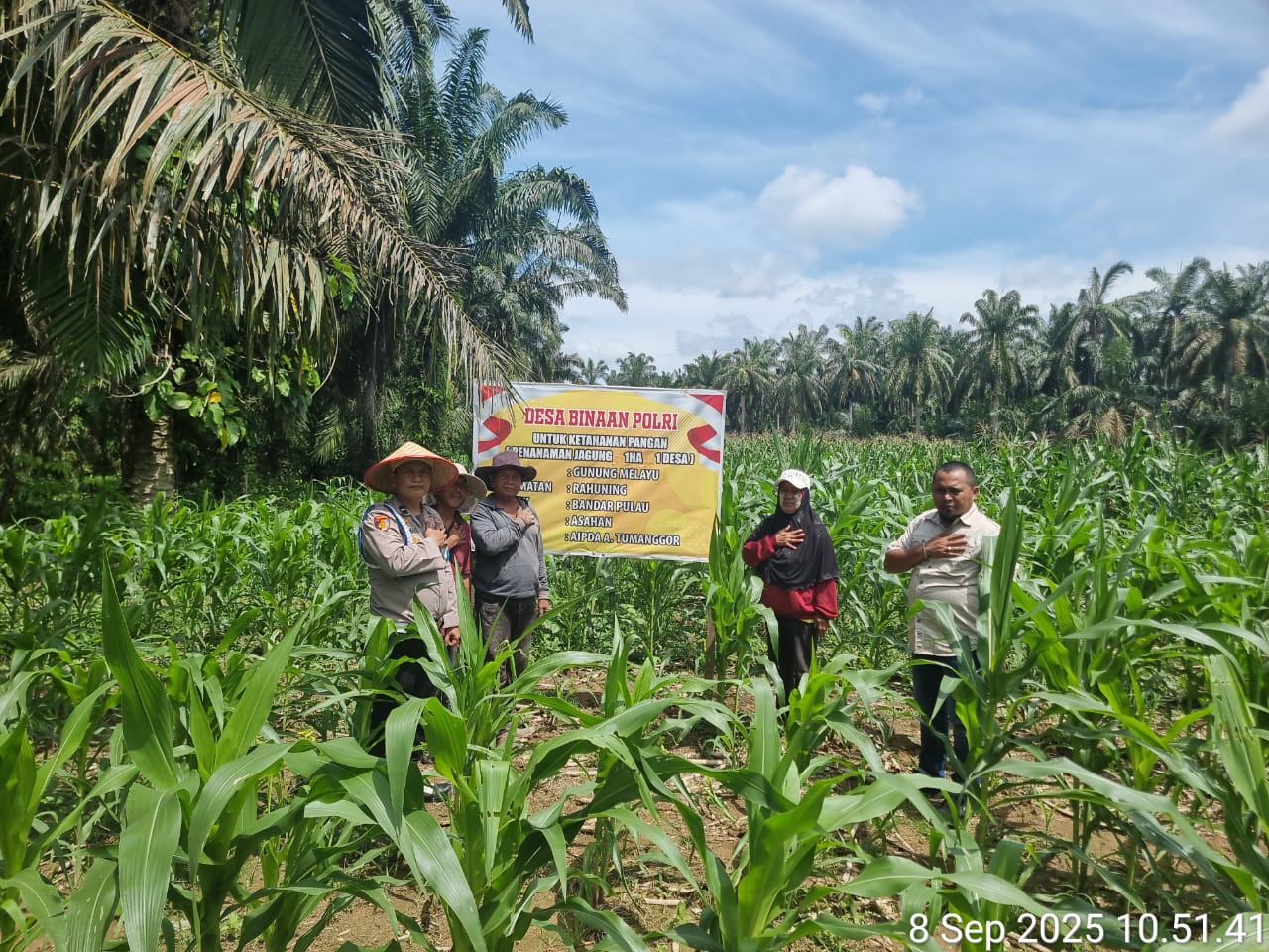 POLSEK BANDAR PULAU CEK TANAMAN JAGUNG PROGRAM 1 DESA 1 HEKTARE DI DESA GUNUNG MELAYU